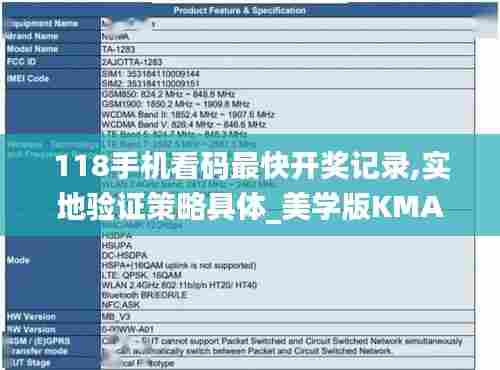 118手机看码最快开奖记录,实地验证策略具体_美学版KMA13.45