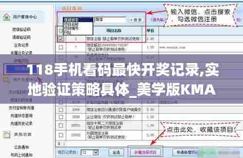 118手机看码最快开奖记录,实地验证策略具体_美学版KMA13.45