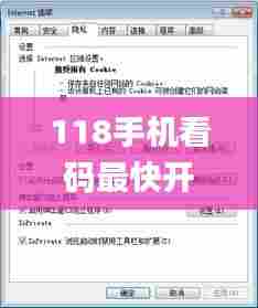 118手机看码最快开奖记录,实地验证策略具体_美学版KMA13.45