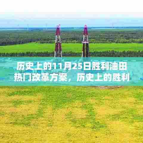 胜利油田热门改革方案的实施历程与策略揭秘,历史上的胜利油田深度探究