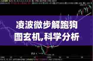 凌波微步解跑狗图玄机,科学分析严谨解释_视频版GEC13.39