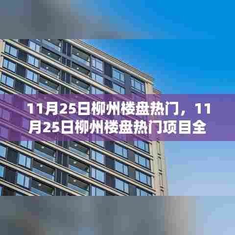 11月25日柳州楼盘热门项目全面评测介绍