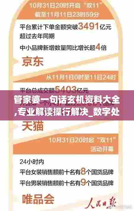 管家婆一句话玄机资料大全,专业解读操行解决_数字处理版SMZ13.26