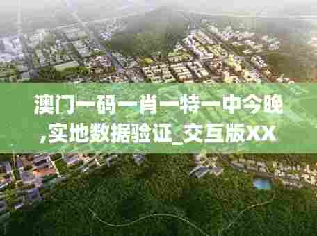 澳门一码一肖一特一中今晚,实地数据验证_交互版XXG13.51