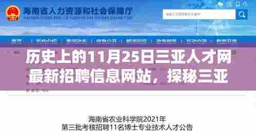 探秘三亚人才网最新招聘信息背后的神秘小巷特色小店，历史背景与最新招聘信息一览