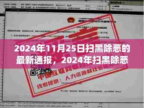 扫黑除恶行动最新进展通报，全面参与扫黑除恶的步骤指南（2024年11月）