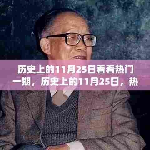 历史上的11月25日深度剖析,热门事件与个人观点