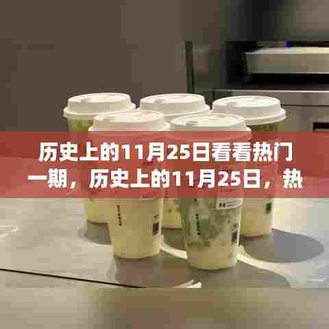 历史上的11月25日深度剖析,热门事件与个人观点