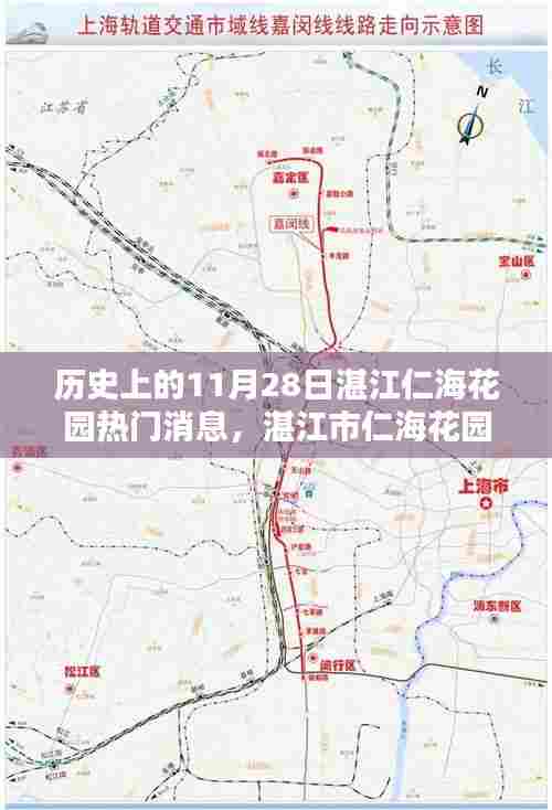 湛江市仁海花园11月28日历史热门消息全攻略探寻记