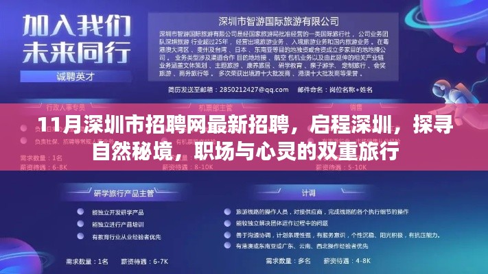 启程深圳，最新招聘信息与自然秘境探索的双重职场心灵之旅