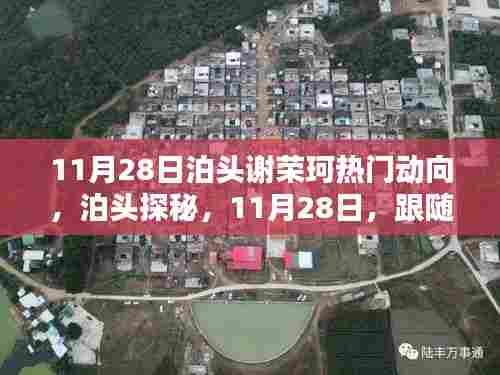 跟随谢荣珂走进泊头小巷的风味宇宙，11月28日热门动向探秘