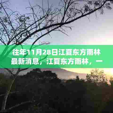 往年11月28日江夏东方雨林，秋日奇遇与温馨故事