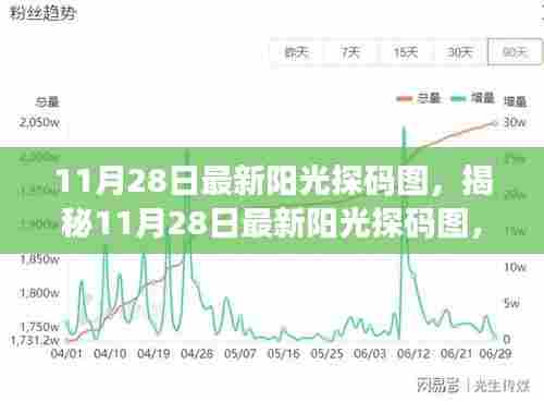揭秘最新阳光探码图，洞悉数字奥秘的奥秘（11月28日更新）