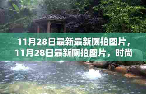11月28日最新厕拍图片，时尚潮流与生活瞬间的精彩捕捉