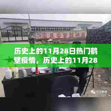 历史上的11月28日鹤壁疫情深度回顾与热点解读