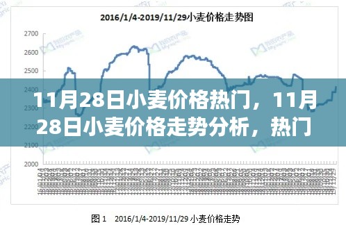 11月28日小麦价格走势分析与热门关注点解读