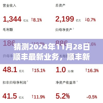 顺丰未来展望,奇遇与温情纽带,预见顺丰新篇章(2024年11月28日最新业务猜想)