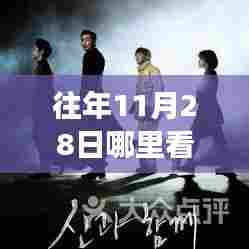 往年11月28日观影指南，光影中的自信与梦想，探寻最新电影的启示