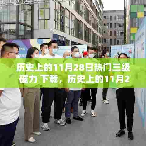 历史上的11月28日热门资源下载平台评测，磁力下载的兴衰之路