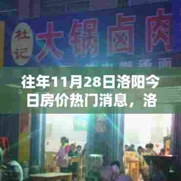 揭秘洛阳房产新纪元,揭秘热门房价背后的科技魔力与最新消息(往年11月28日洛阳今日房价)