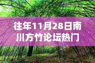 往年11月28日南川方竹论坛热点速递，热议焦点一网打尽