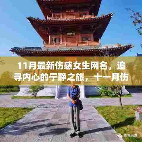 十一月伤感女生网名，追寻内心宁静与自然美景的旅程