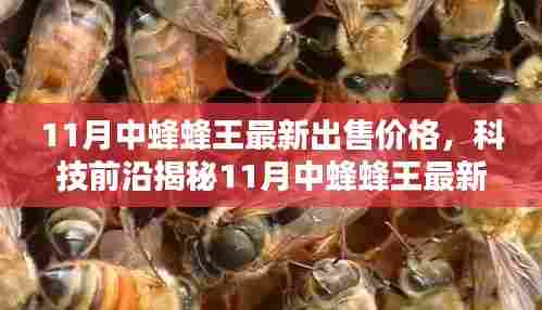 揭秘科技前沿,揭秘11月中蜂蜂王最新智能售价,开启未来生活新纪元体验!