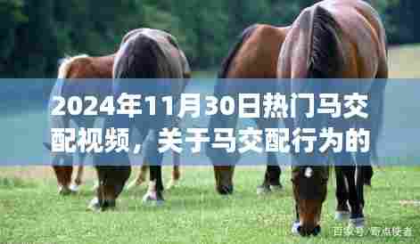 关于马交配行为的研究与探讨，案例分析及观察报告