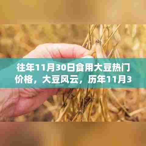 历年11月30日大豆市场风云解析，热门价格与市场深度剖析