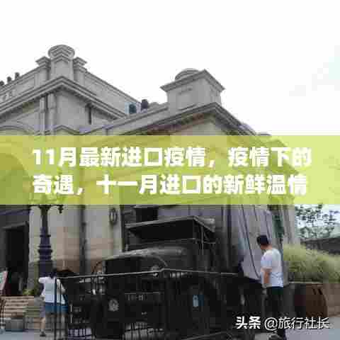 疫情奇遇记，十一月进口温情故事回顾