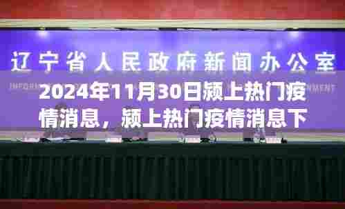 颍上热门疫情消息多维视角分析——以观察点2024年11月30日为例