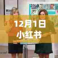 揭秘小红书热门新宠,最新高科技产品体验之旅,科技巅峰时刻!