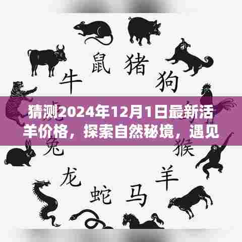 探索自然秘境，预测未来活羊价格，启程宁静心灵之旅的启程点，2024年活羊价格展望与心灵之旅体验