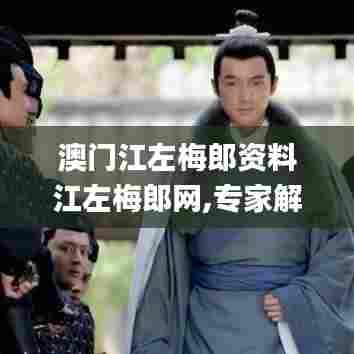 澳门江左梅郎资料江左梅郎网,专家解说解释定义_OAL92.396动画版