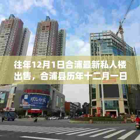 合浦历年十二月一日私人楼盘出售指南,从选择到成交的详细步骤及最新房源推荐