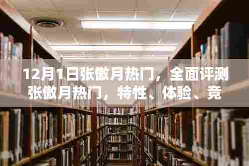 张傲月热门全面评测，特性、体验、竞品对比及用户群体深度剖析