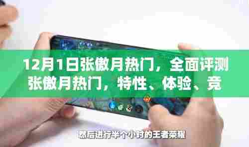 张傲月热门全面评测,特性、体验、竞品对比及用户群体深度剖析