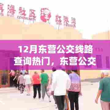 东营公交探秘，十二月线路查询指南与心灵静谧之旅