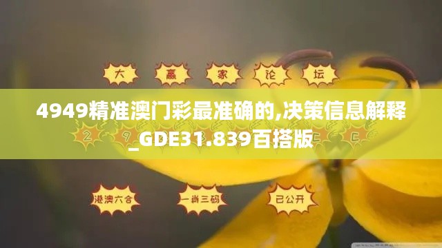 4949精准澳门彩最准确的,决策信息解释_GDE31.839百搭版