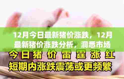 洞悉市场动态,最新猪价涨跌分析与养殖前景展望