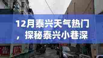 探秘泰兴小巷特色小店，十二月泰兴天气的温暖邂逅之旅