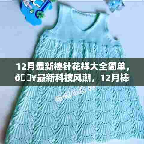 科技与手工融合之美,12月最新棒针花样大全简单