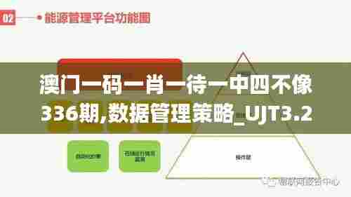 澳门一码一肖一待一中四不像336期,数据管理策略_UJT3.218升级版