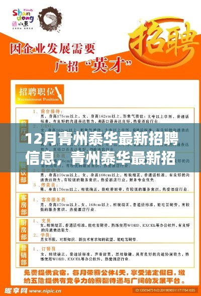 青州泰华最新招聘动态揭秘,职场人士必看(12月版)