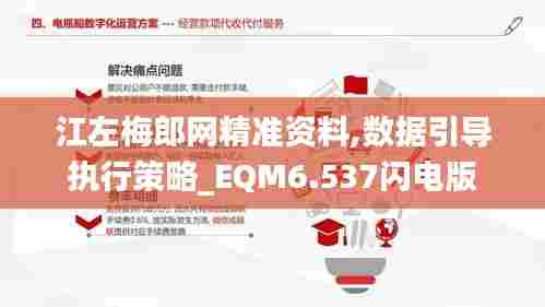 江左梅郎网精准资料,数据引导执行策略_EQM6.537闪电版