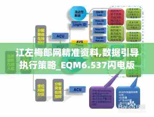 江左梅郎网精准资料,数据引导执行策略_EQM6.537闪电版