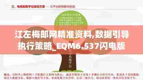 江左梅郎网精准资料,数据引导执行策略_EQM6.537闪电版
