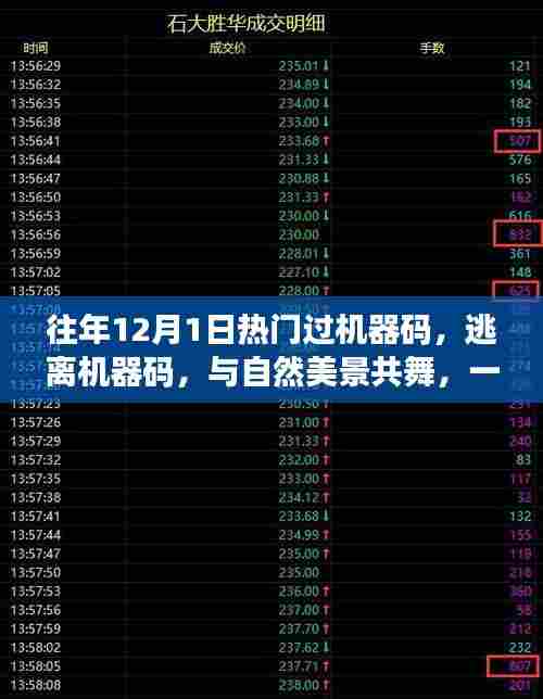 心灵之旅，逃离机器码，与自然美景共舞的心灵奇妙之旅