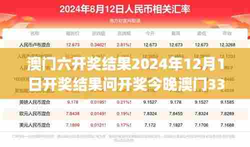 澳门六开奖结果2024年12月1日开奖结果问开奖今晚澳门336期,实地观察解释定义_KWU41.116娱乐版