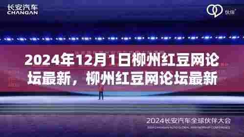 2024年柳州红豆网论坛最新评测报告（全面解读）